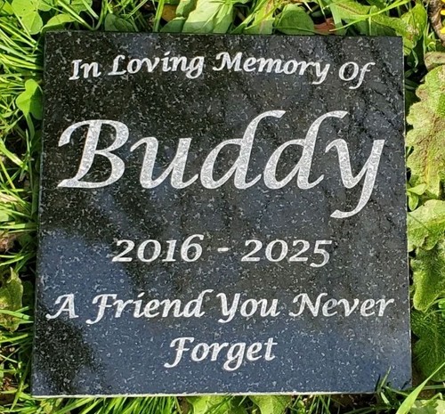 Pet memorial granite stone - memorial,