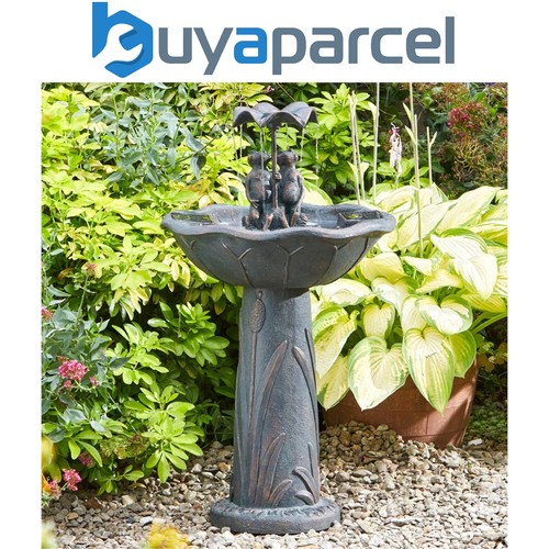 Smart garden solar frog - smart,