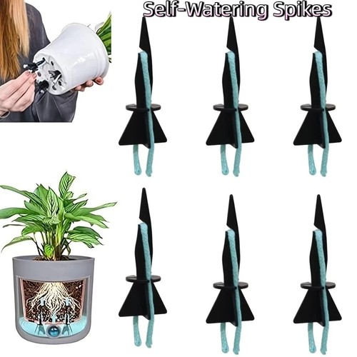 Potted plant watering spikes - plant,