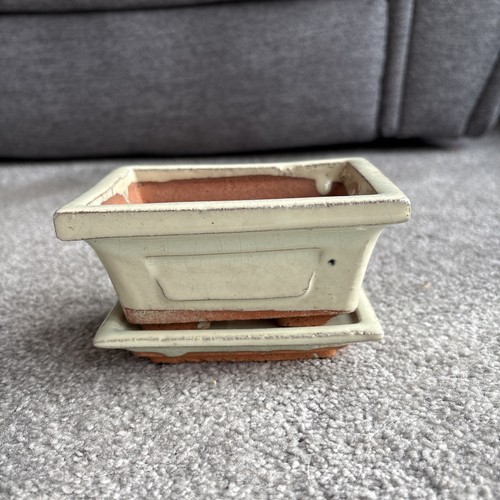 Cream ceramic bonsai tree - bonsai,