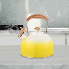 Whistling Kettle with Spout