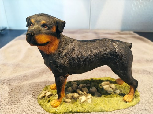 Sherratt simpson rottweiler - simpson,