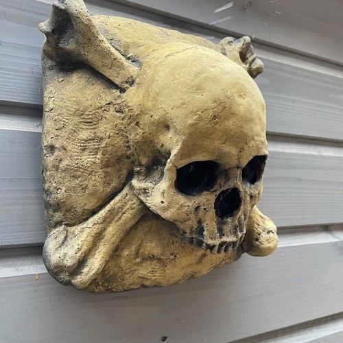 Aged human skull - aged, &