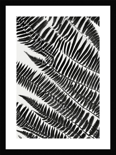 Timeless fern fronds - fern,