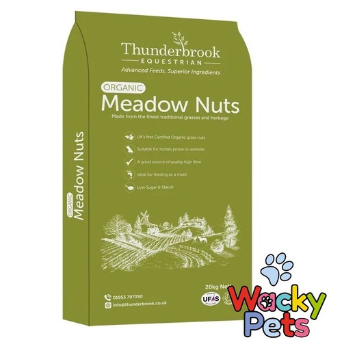 Horse pony feed food - horse,