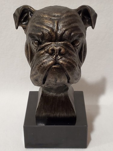 Old english dog - dog, head