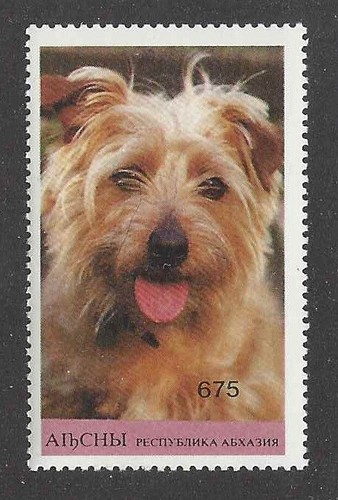 Rare art head study postage - head,