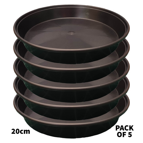 20cm black plant - 20cm,