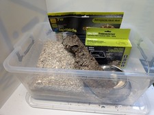 Complete Hatchling Snake