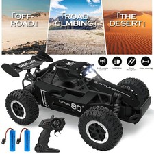 High Speed 1:16 RC Car 20km/h 2WD Off Road Monster Truck, 2 Batteries,All Terrai