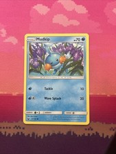 Pokemon Card Mudkip Celestial