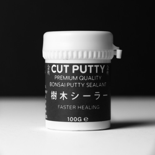 Premium bonsai cut putty - bonsai,