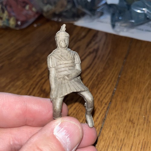 Poplar roman horse riding - horse,
