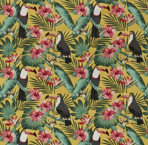 Tropical toucans palm tree - tropical,