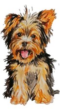 Yorkshire terrier dog art - yorkshire,