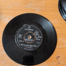 The seekers Pearly gates 7"