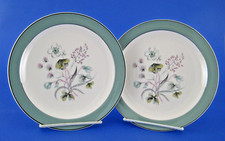 Midwinter Mayfield 2 Salad