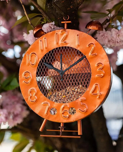 Garden bird feeding station - feeding,