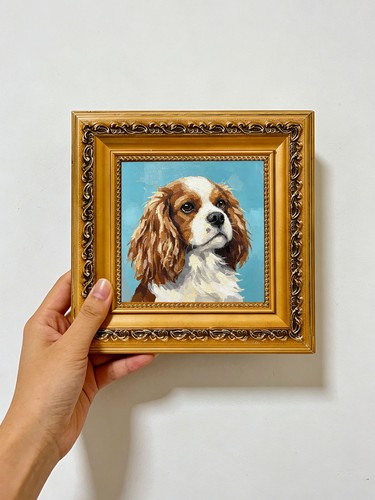 Cavalier king charles spaniel - cavalier,