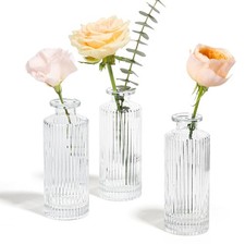 Glass Bud Vases Set of 3