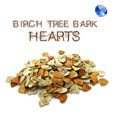 Bark Shapes Birch Tree Hearts