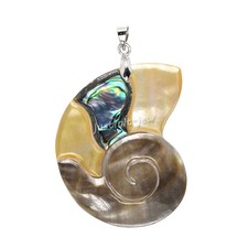 Natural Mother Of Pearl Shell