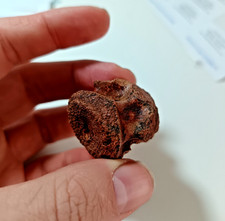 SUPERB Cretaceous Kem Kem