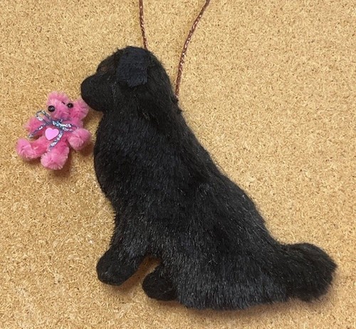Newfoundland with pink - newfoundland, a