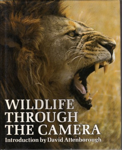Wild life through the camera - life,
