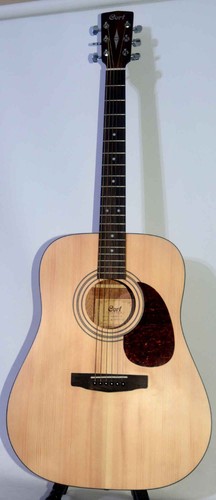Cort earth acoustic - earth,