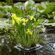 Pond Plant Kit, Floating Raft, Marginal Plants, Soil and Gravel, Ready to Use