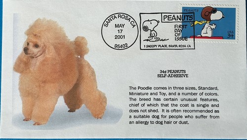 3507 peanuts snoopy - peanuts,