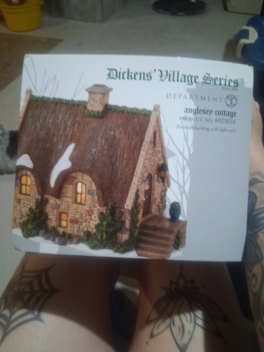 Dept dickens village - 56,