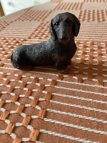 Lovely black and tan dachshund - black,