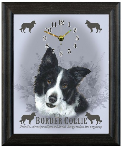 Border collie clock wall - , or