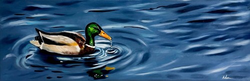 Mallard duck oil