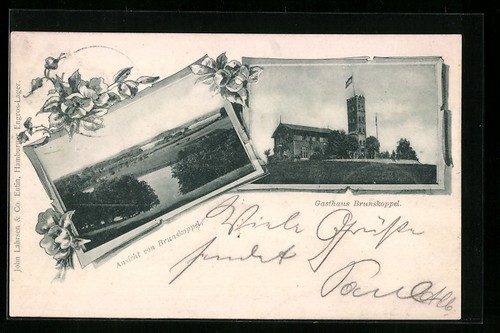 Postcard brunskoppel guest - postcard,