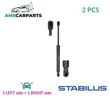 TAILGATE BOOT STRUTS SET