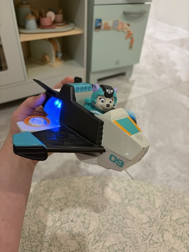 Paw patrol jet the rescue - paw,