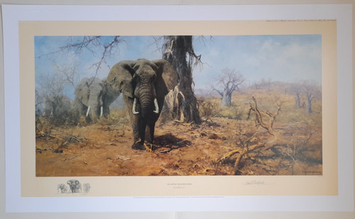 David shepherd the land - "the, of
