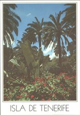Isla tenerife postcard 1989 - isla,