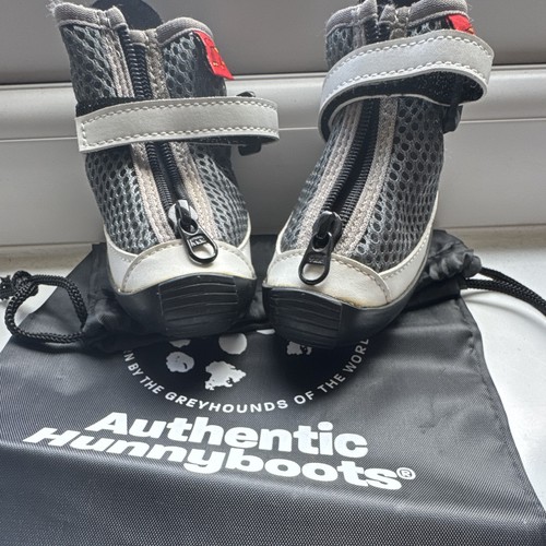Hunnyboots greyhound dog - greyhound,
