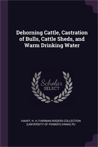 Dehorning cattle castration - cattle,,