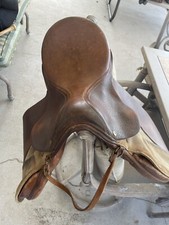 Cambridge International