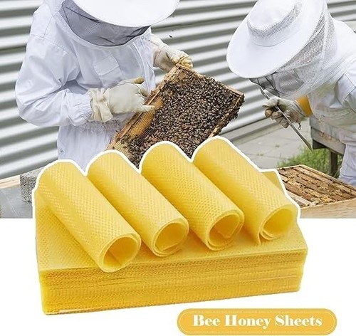 Jemora yegbong 10pcs bee - yegbong,