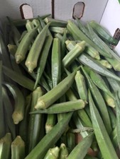 Okro Fresh Organic (Uk Garden)