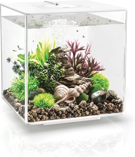 Biorb cube acrylic aquarium - cube,