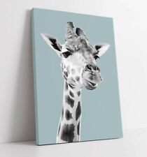 DUCK EGG BLUE GIRAFFE -PREMIUM DEEP FRAMED CANVAS WALL ART PICTURE PRINT- GREY