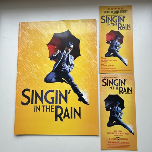 Singin the rain musical - in,
