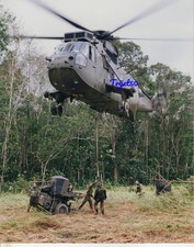 Aircraft Photo 8x10 Colour